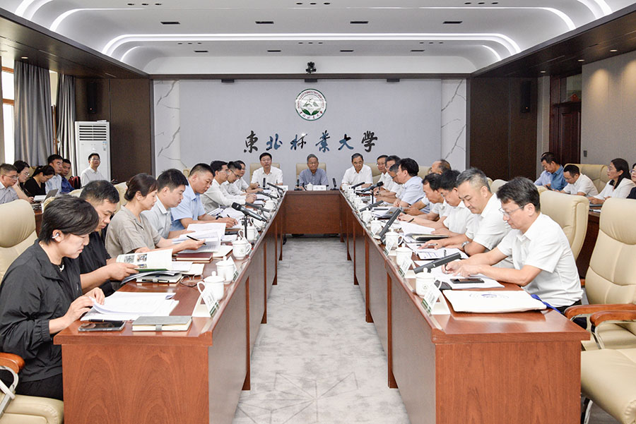 1772251116253030926.jpg 1772251116253030926.jpg